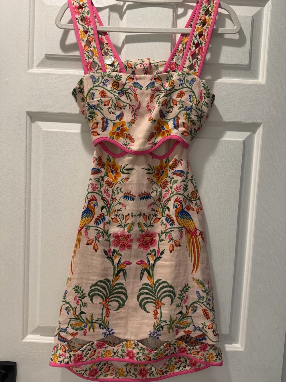 FARM RIO PINK DELICATE Floral Embroidered Cream Mini Dress - Picture 3 of 3